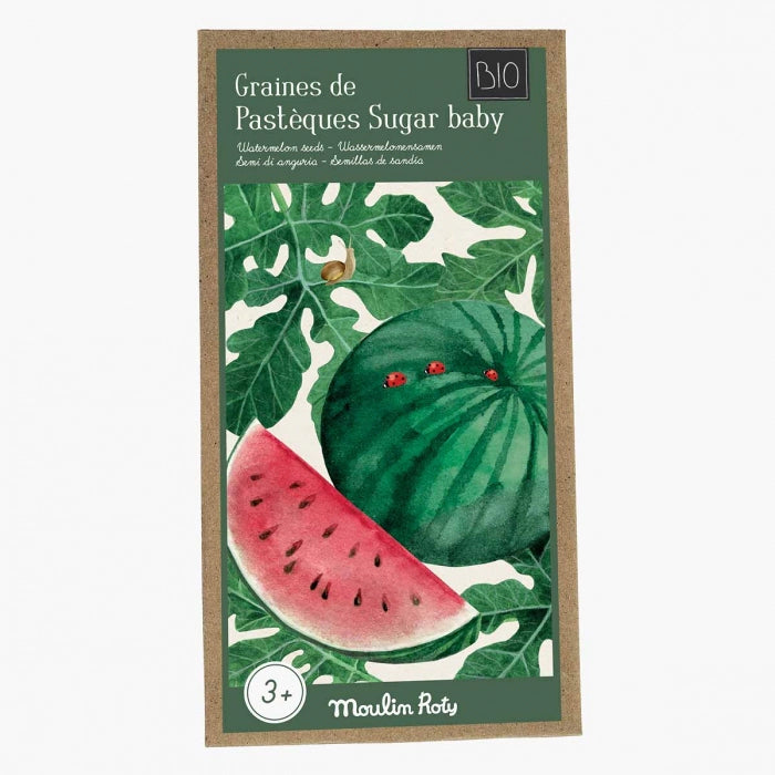 Graines de pastèque BIO